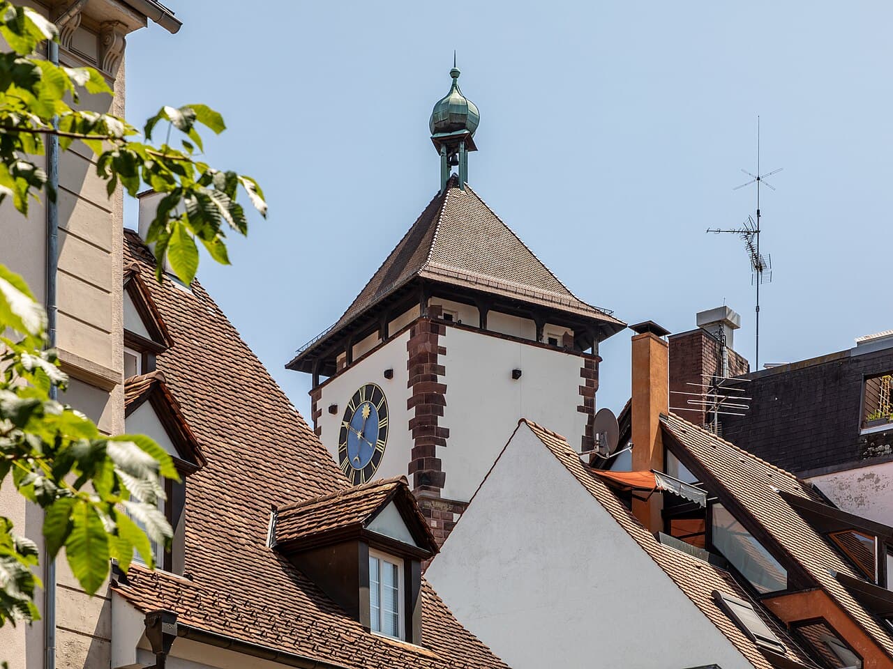 Webentwicklung & Digitale Lösungen in Freiburg im Breisgau