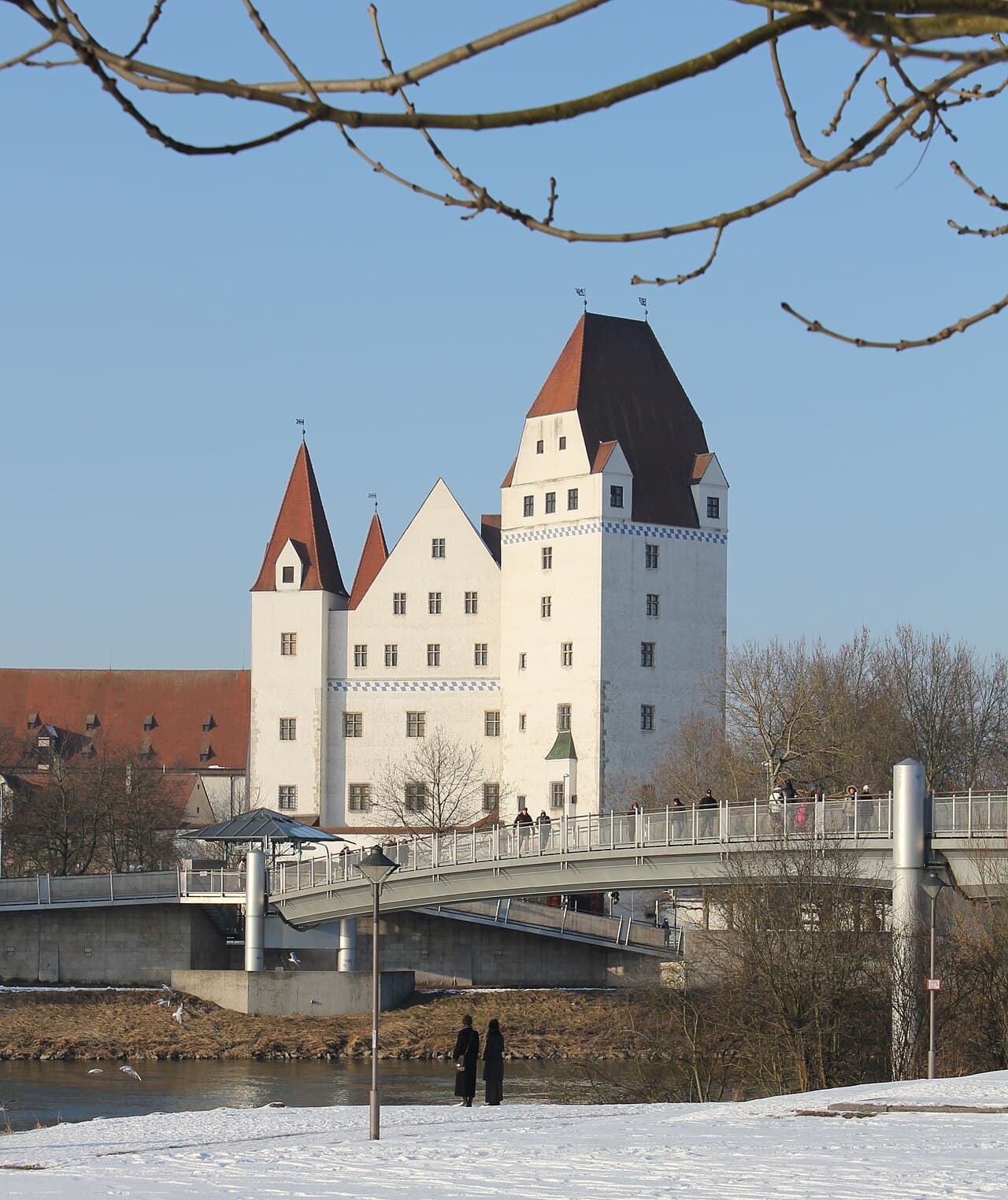 Webentwicklung & Digitale Lösungen in Ingolstadt