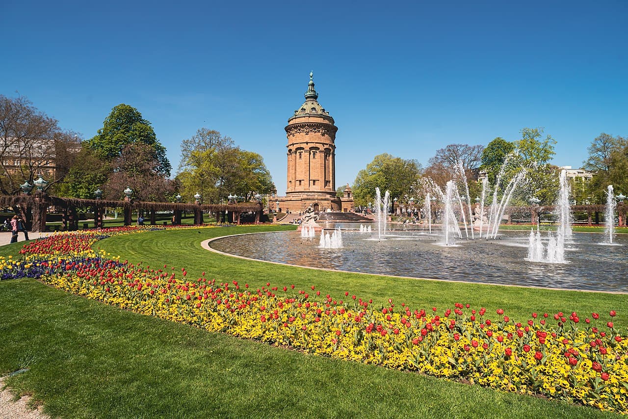 Webentwicklung & Digitale Lösungen in Mannheim